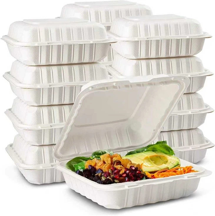Plastic Hinged Containers Made in Indonesia Plastic Hinged Containers Made in Indonesia