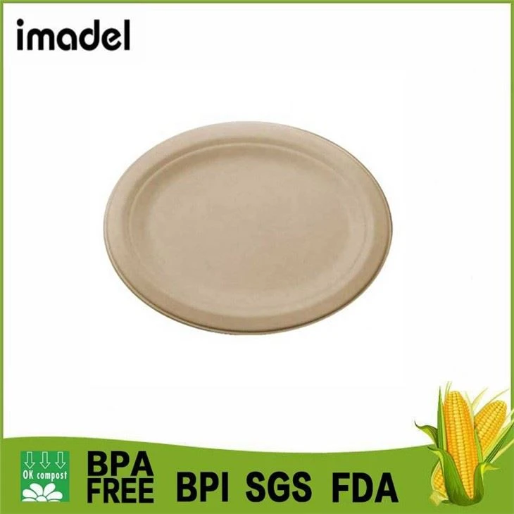 Placas biodegradables de bagazo de caña de azúcar